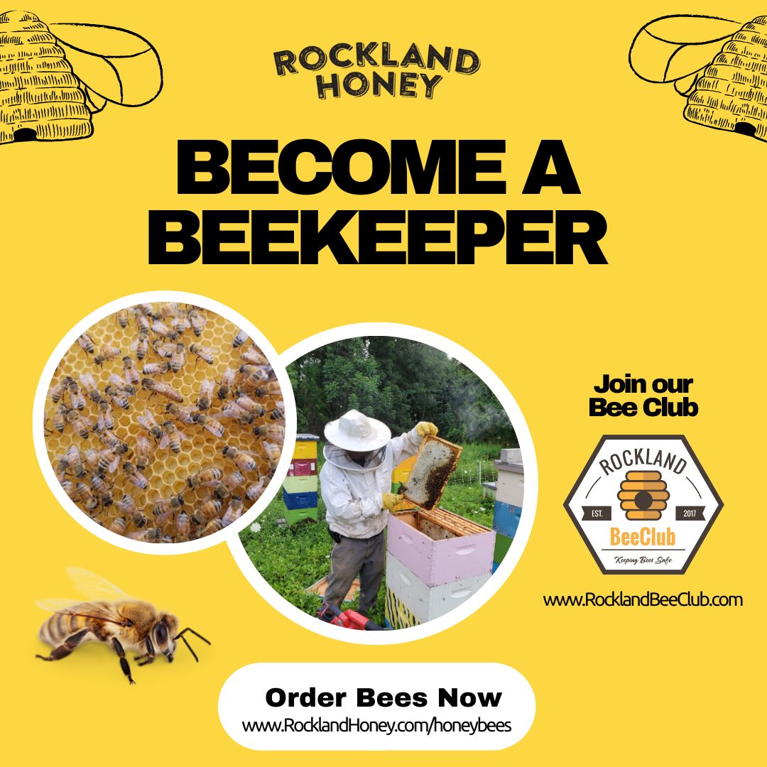 Bees for Sale - 2023 - Rockland Bee Club